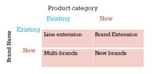 4 choices of developing a brand