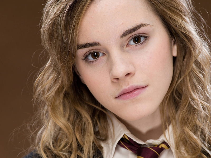 Figure : Hermione Granger, an iconic character from Harry Potter.