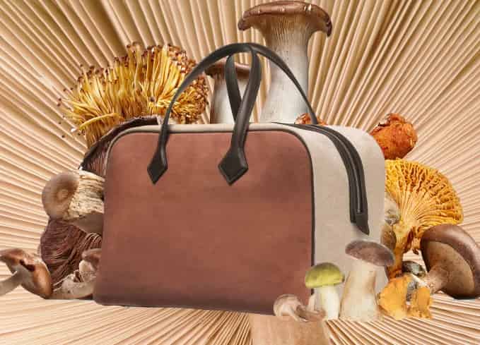 Mushroom Leather Is the Next Big Thing in Sustainable Fashion - PureWow